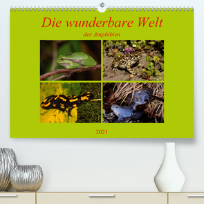 Die wunderbare Welt der Amphibien (Premium, hochwertiger DIN A2 Wandkalender 2021, Kunstdruck in Hochglanz) von Erlwein,  Winfried