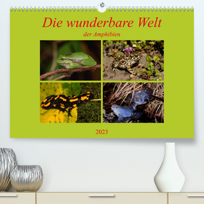 Die wunderbare Welt der Amphibien (Premium, hochwertiger DIN A2 Wandkalender 2023, Kunstdruck in Hochglanz) von Erlwein,  Winfried