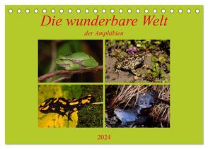 Die wunderbare Welt der Amphibien (Tischkalender 2024 DIN A5 quer), CALVENDO Monatskalender von Erlwein,  Winfried