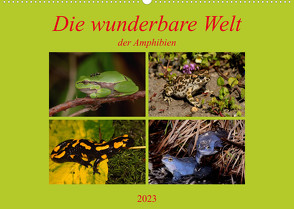 Die wunderbare Welt der Amphibien (Wandkalender 2023 DIN A2 quer) von Erlwein,  Winfried