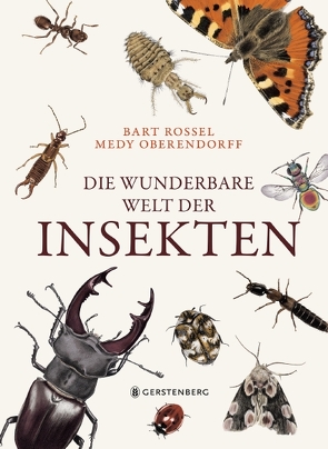Die wunderbare Welt der Insekten von Oberendorff,  Medy, Rossel,  Bart