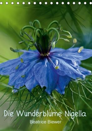 Die Wunderblume Nigella (Tischkalender 2018 DIN A5 hoch) von Biewer,  Beatrice