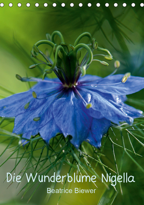 Die Wunderblume Nigella (Tischkalender 2020 DIN A5 hoch) von Biewer,  Beatrice