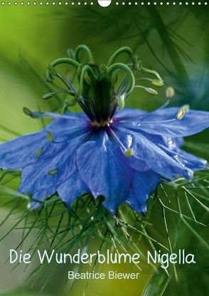 Die Wunderblume Nigella (Wandkalender 2018 DIN A3 hoch) von Biewer,  Beatrice