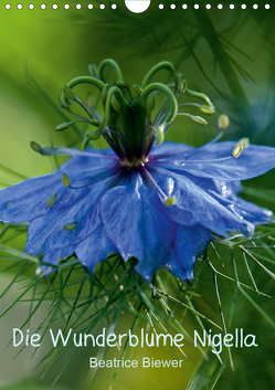 Die Wunderblume Nigella (Wandkalender 2021 DIN A4 hoch) von Biewer,  Beatrice