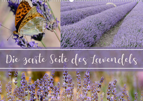 Die zarte Seite des Lavendels (Wandkalender 2023 DIN A2 quer) von B-B Müller,  Christine