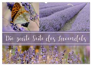 Die zarte Seite des Lavendels (Wandkalender 2024 DIN A2 quer), CALVENDO Monatskalender von B-B Müller,  Christine