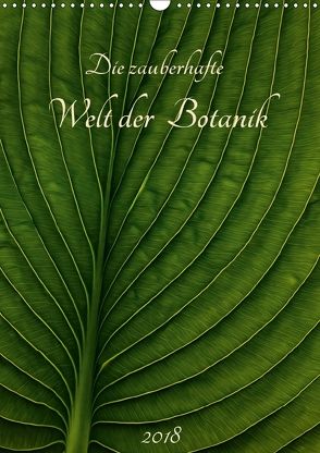 Die zauberhafte Welt der Botanik (Wandkalender 2018 DIN A3 hoch) von Pohl,  Michael
