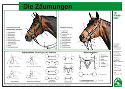 Die Zäumungen von Deutsche Reiterliche Vereinigung e.V., Deutsche Reiterliche Vereinigung e.V. (FN) - Bereich Sport,  Abt. Ausbildung, Koller,  Cornelia, Lehmann,  Thomas, Spenlen,  Uwe