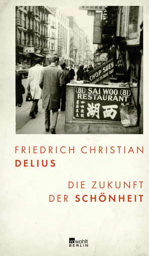 Die Zukunft der Schönheit von Delius,  Friedrich Christian