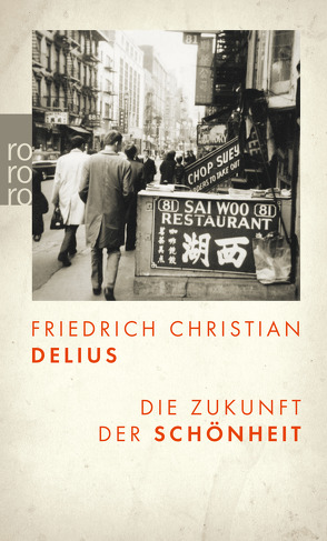 Die Zukunft der Schönheit von Delius,  Friedrich Christian