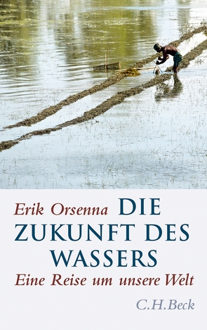 Die Zukunft des Wassers von Orsenna,  Érik, Vollmann,  Caroline