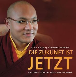 DIE ZUKUNFT IST JETZT von Dalai Lama (14.), KKarmapa Ogyen Trinley Dorje (Der 17. Karmapa), Lohninger,  Sylvester