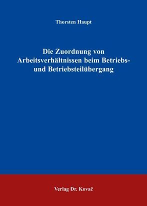 Die Zuordnung von Arbeitsverhältnissen beim Betriebs- und Betriebsteilübergang von Haupt,  Thorsten