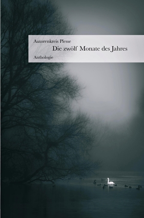 Die zwölf Monate des Jahres von Block,  Detlev, Drushinin,  Max, Garbe,  Burckhard, Gralle,  Albrecht, Gröhler,  Harald, Hartewig,  Karin, Hausin,  Manfred, Jeday,  Samir, Marciniak,  Steffen, Middleton,  Clifford J., Platta,  Holdger, Riehemann,  Renate Maria, Shiolashvili,  Irma