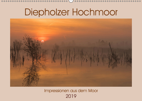 Diepholzer Hochmoor (Wandkalender 2019 DIN A2 quer) von N.,  N.