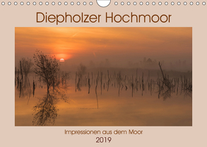 Diepholzer Hochmoor (Wandkalender 2019 DIN A4 quer) von N.,  N.