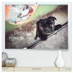 Diesel – ein mopsiges Leben (hochwertiger Premium Wandkalender 2024 DIN A2 quer), Kunstdruck in Hochglanz von Wobith Photography - FotosVonMaja,  Sabrina