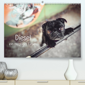 Diesel – ein mopsiges Leben (Premium, hochwertiger DIN A2 Wandkalender 2023, Kunstdruck in Hochglanz) von Wobith Photography - FotosVonMaja,  Sabrina