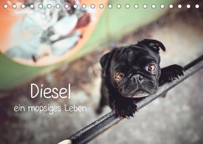 Diesel – ein mopsiges Leben (Tischkalender 2023 DIN A5 quer) von Wobith Photography - FotosVonMaja,  Sabrina