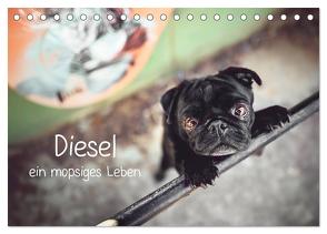 Diesel – ein mopsiges Leben (Tischkalender 2024 DIN A5 quer), CALVENDO Monatskalender von Wobith Photography - FotosVonMaja,  Sabrina