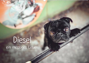 Diesel – ein mopsiges Leben (Wandkalender 2023 DIN A2 quer) von Wobith Photography - FotosVonMaja,  Sabrina