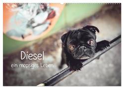 Diesel – ein mopsiges Leben (Wandkalender 2024 DIN A2 quer), CALVENDO Monatskalender von Wobith Photography - FotosVonMaja,  Sabrina