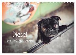Diesel – ein mopsiges Leben (Wandkalender 2024 DIN A3 quer), CALVENDO Monatskalender von Wobith Photography - FotosVonMaja,  Sabrina