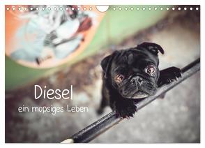 Diesel – ein mopsiges Leben (Wandkalender 2024 DIN A4 quer), CALVENDO Monatskalender von Wobith Photography - FotosVonMaja,  Sabrina