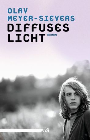 Diffuses Licht von Meyer-Sievers,  Olav