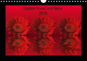 Digitale Kunst und Natur (Wandkalender 2019 DIN A4 quer) von Fornal,  Martina