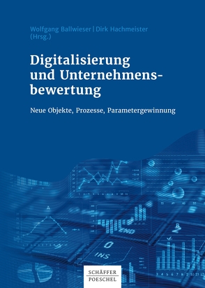 Digitalisierung und Unternehmensbewertung von Ballwieser,  Wolfgang, Hachmeister,  Dirk