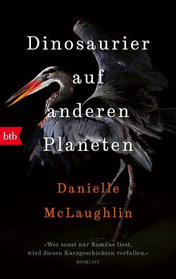 Dinosaurier auf anderen Planeten von McLaughlin,  Danielle, Morawetz,  Silvia