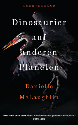 Dinosaurier auf anderen Planeten von McLaughlin,  Danielle, Morawetz,  Silvia
