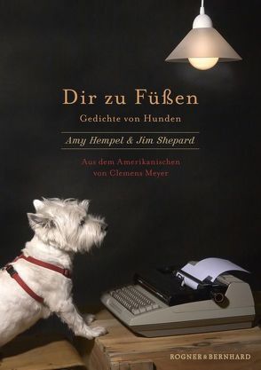 Dir zu Füßen von Hempel,  Amy, Meyer,  Clemens, Shepard,  Jim