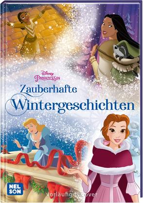 Disney Prinzessin: Zauberhafte Wintergeschichten