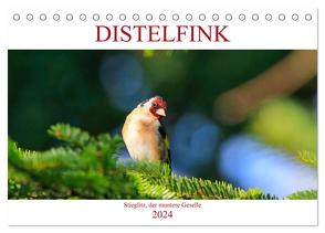 Distelfink (Tischkalender 2024 DIN A5 quer), CALVENDO Monatskalender von Jäger,  Anette