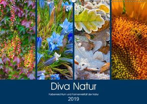 Diva Natur (Wandkalender 2019 DIN A2 quer) von Seifert,  Birgit