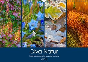 Diva Natur (Wandkalender 2019 DIN A3 quer) von Seifert,  Birgit