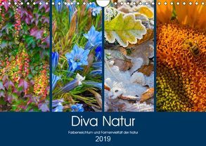 Diva Natur (Wandkalender 2019 DIN A4 quer) von Seifert,  Birgit