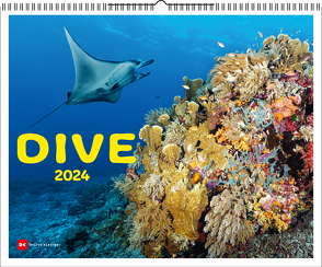 Dive 2024