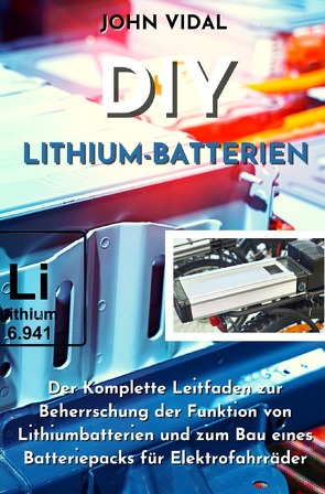 DIY Lithium-Batterien von Vidal,  John