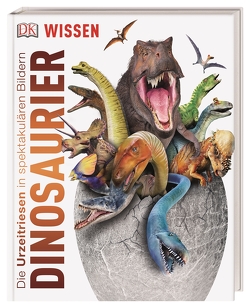 DK Wissen. Dinosaurier von Woodward,  John