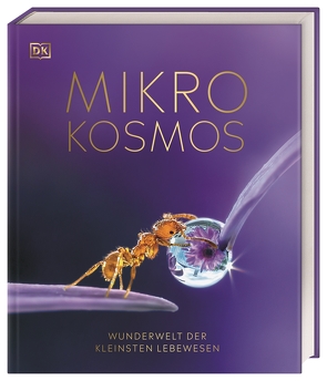 DK Wunderwelten. Mikrokosmos – Wunderwelt der kleinsten Lebewesen von Harvey,  Derek, Jackson,  Tom, Kokoscha,  Michael, Perks,  Dr. Bea, Scott,  Michael, Wood,  Dr. Elizabeth