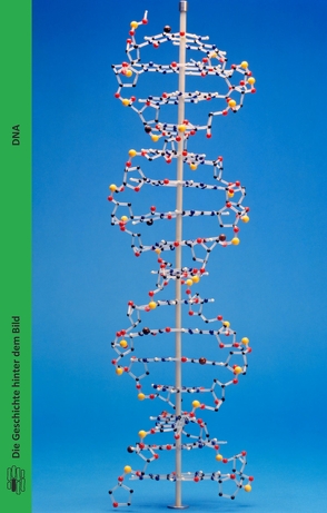 DNA von Hossfeld,  Uwe