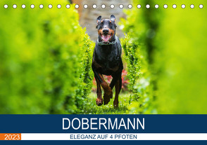 Dobermann 2023 (Tischkalender 2023 DIN A5 quer) von Mirsberger,  Annett