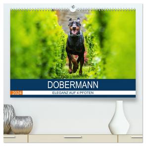 Dobermann 2024 (hochwertiger Premium Wandkalender 2024 DIN A2 quer), Kunstdruck in Hochglanz von Mirsberger,  Annett