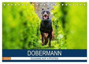 Dobermann 2024 (Tischkalender 2024 DIN A5 quer), CALVENDO Monatskalender von Mirsberger,  Annett