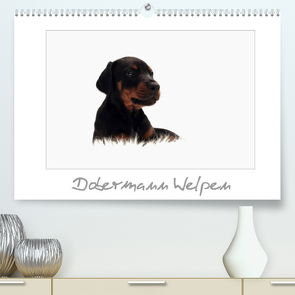 Dobermann Welpen (Premium, hochwertiger DIN A2 Wandkalender 2022, Kunstdruck in Hochglanz) von - Nicole Hahn,  nh-pawpixx.com