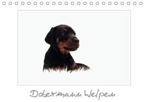 Dobermann Welpen (Tischkalender 2018 DIN A5 quer) von - Nicole Hahn,  nh-pawpixx.com